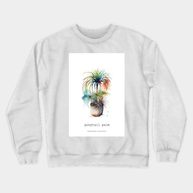 Ponytail Palm, Mexican Plant Crewneck Sweatshirt by Walter WhatsHisFace